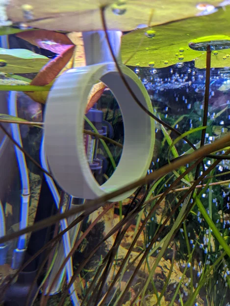 Vòng cho cá ăn (Fish Hoop) dành cho bể kính 6mm - Phụ kiện 3D thông minh - Image 1