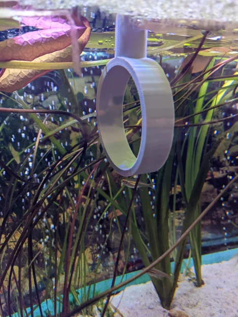 Vòng cho cá ăn (Fish Hoop) dành cho bể kính 6mm - Phụ kiện 3D thông minh - Image 2