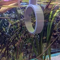 Vòng cho cá ăn (Fish Hoop) dành cho bể kính 6mm - Phụ kiện 3D thông minh - Thumbnail 2