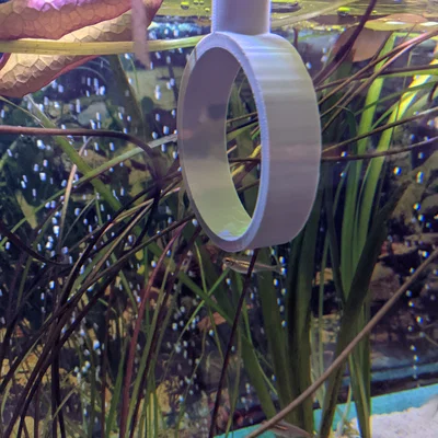 Vòng cho cá ăn (Fish Hoop) dành cho bể kính 6mm - Phụ kiện 3D thông minh