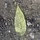 ChrisNolan_635249